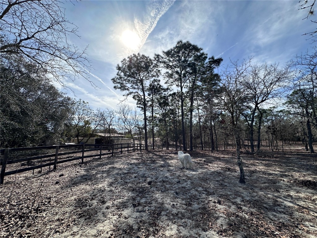 TBD SE 73rd Lane Morriston FL 32668 OM694031 image1