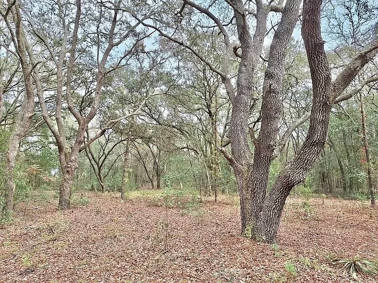 TBD SE 73rd Place #LOT 11 Morriston FL 32668 J971809 image1