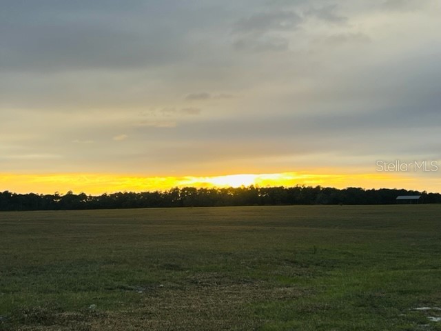 TBD SE 74th Lane Road #8 & 9 WEST Ocklawaha FL 32179 OM691804 image3