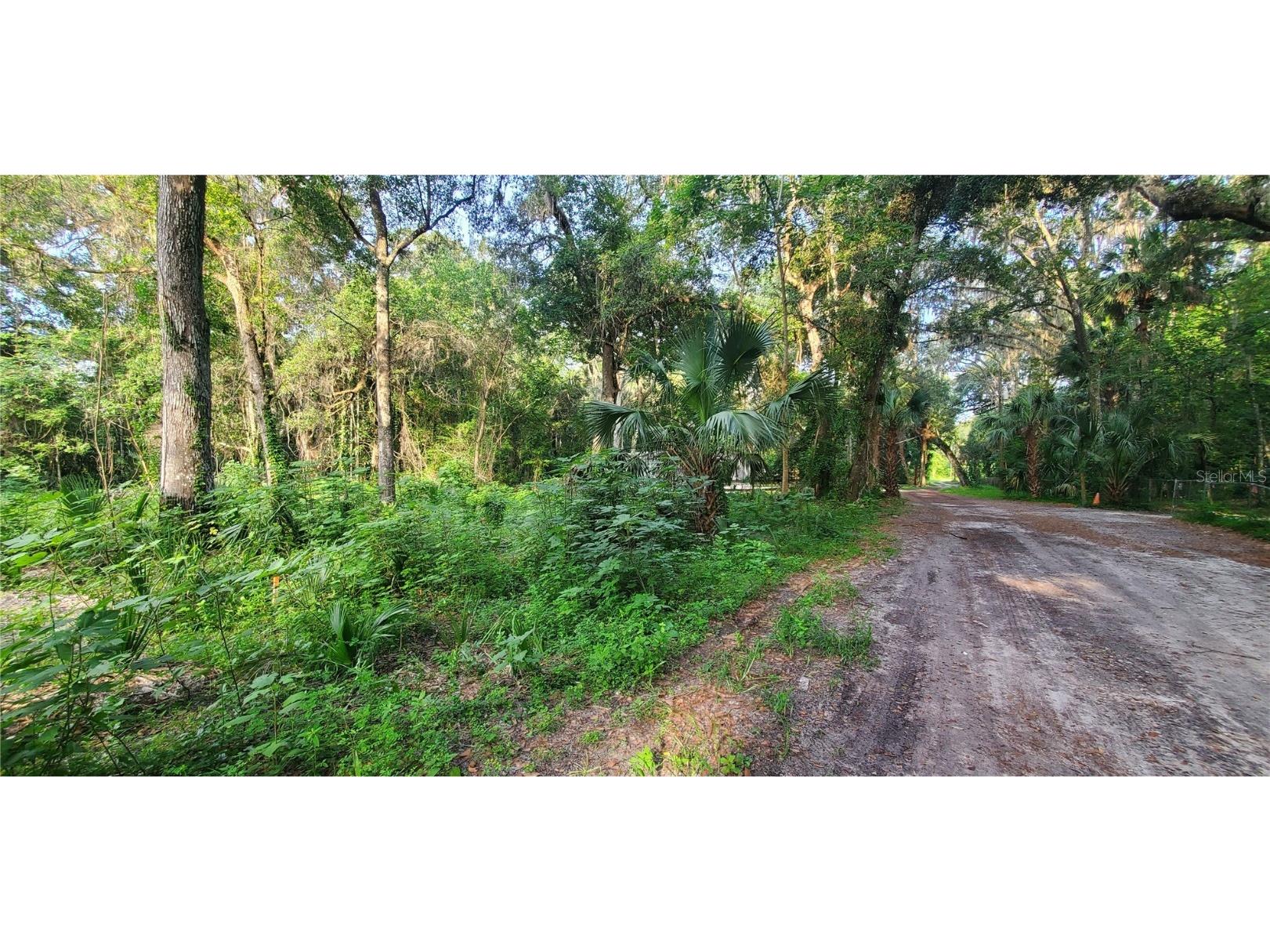 TBD SE 80th Place Ocala FL 34480 OM660543 image1