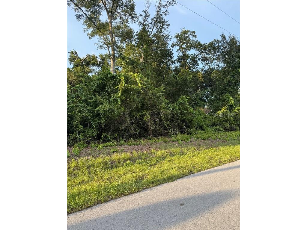 TBD SE 83rd Court Summerfield FL 34491 OM710929 image1