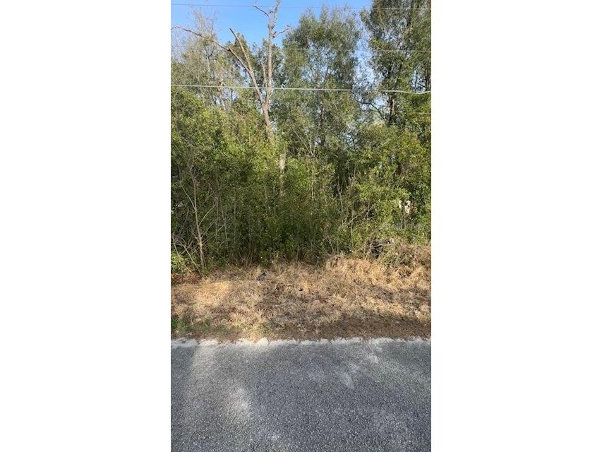 TBD SE 91 Court Summerfield FL 34491 G5110390 image1