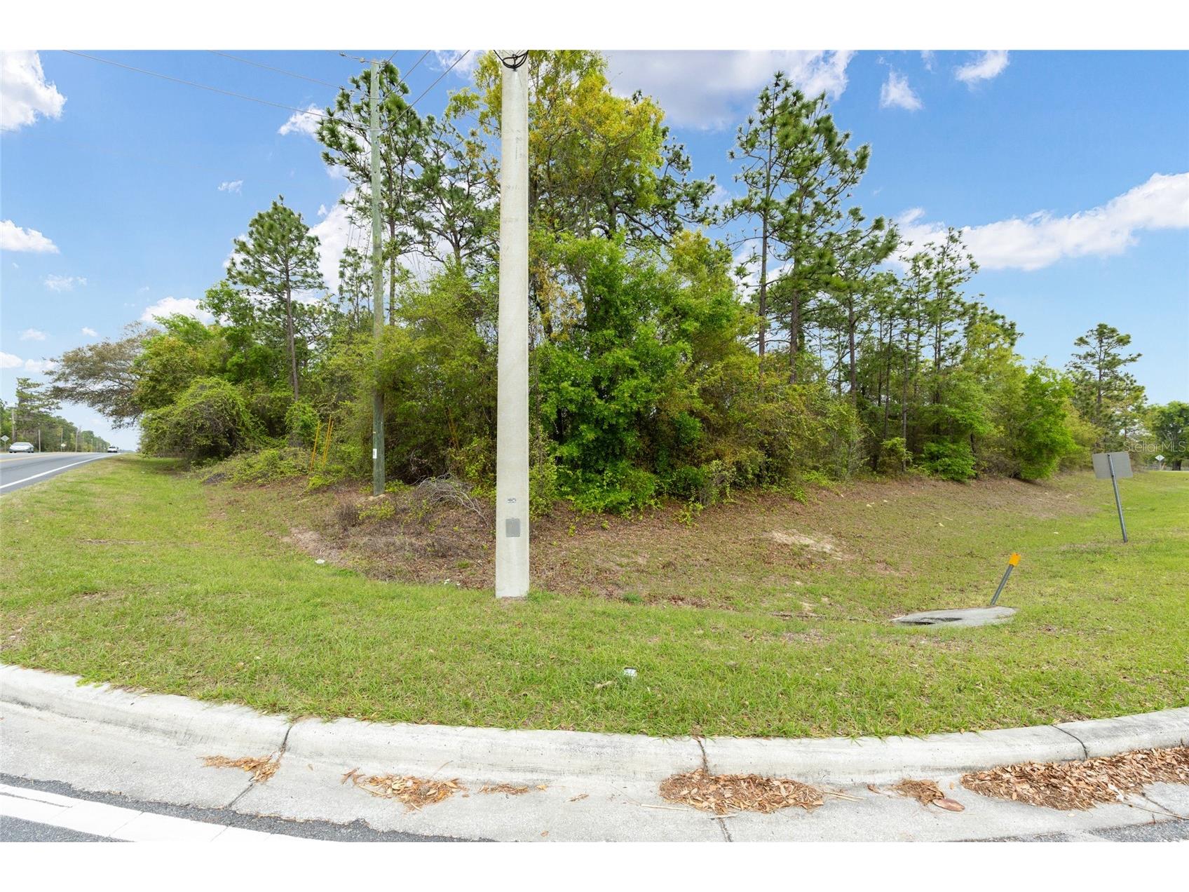 TBD SE 92nd Court Belleview FL 34420 OM721479 image5
