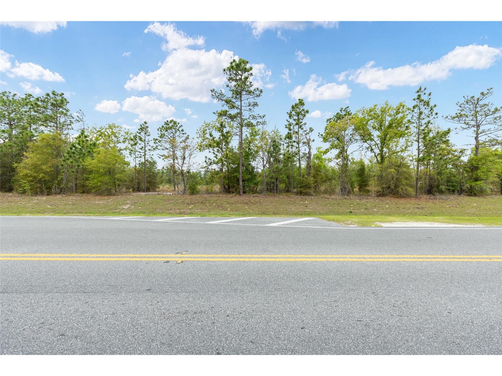 TBD SE 92nd Court Belleview FL 34420 OM721479 image7