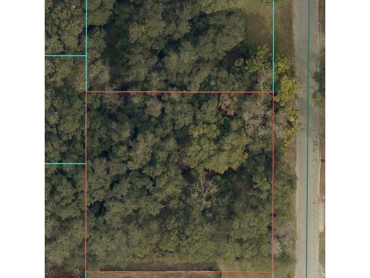 TBD SE 94 Court Summerfield FL 34491 OM716156 image1