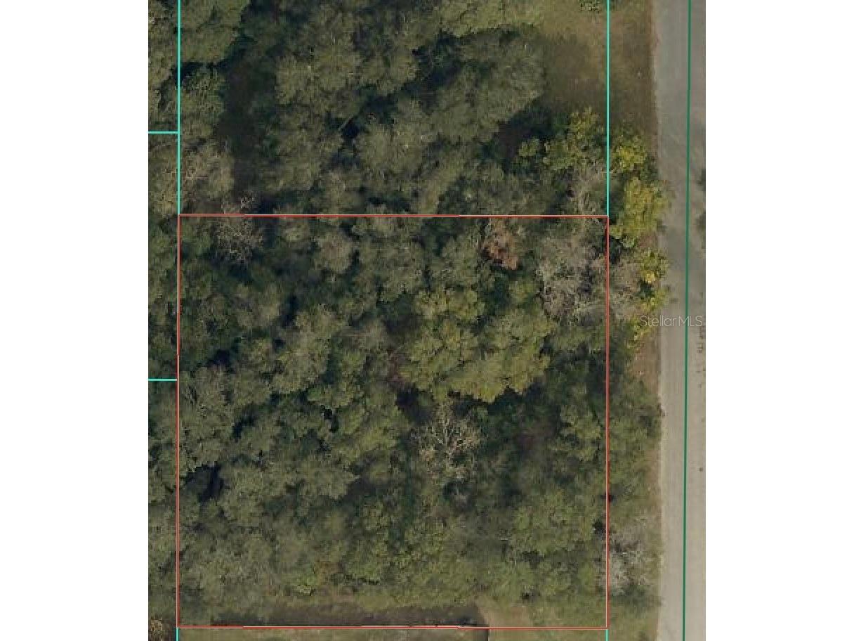 TBD SE 94 Court Summerfield FL 34491 OM716156 image2