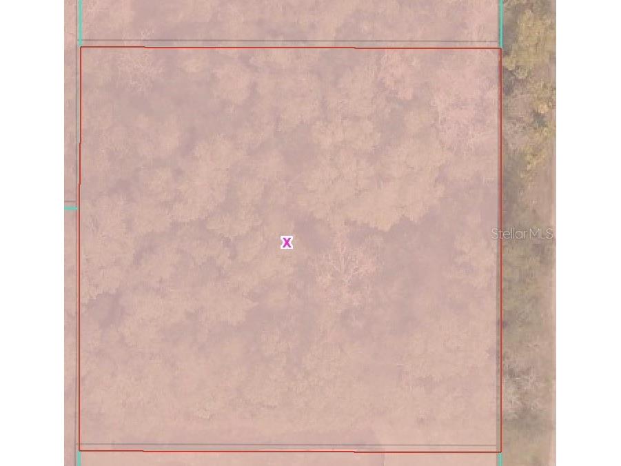 TBD SE 94 Court Summerfield FL 34491 OM716156 image3