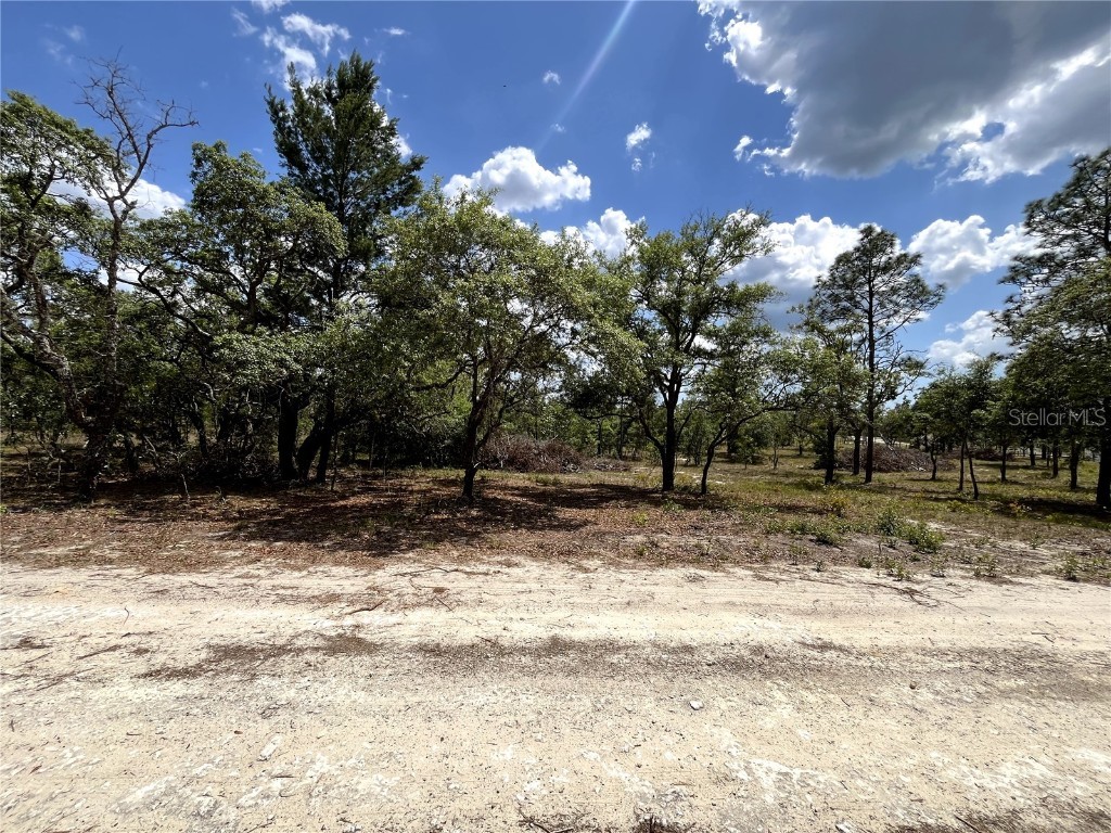 TBD SE 95th Street Dunnellon FL 34431 A4654625 image1