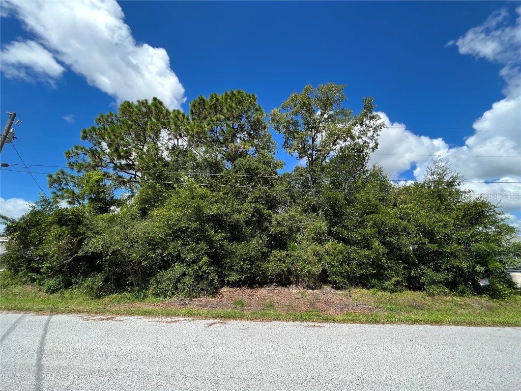 TBD SE 98th Court Summerfield FL 34491 OM700974 image1