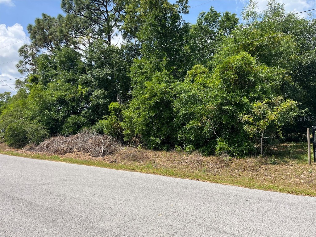 TBD SE 98th Court Summerfield FL 34491 OM700974 image2