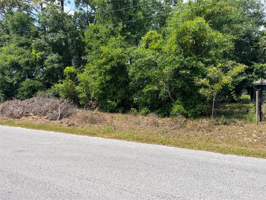 TBD SE 98th Court Summerfield FL 34491 OM700974 image4