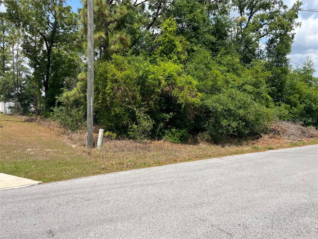 TBD SE 98th Court Summerfield FL 34491 OM700974 image5