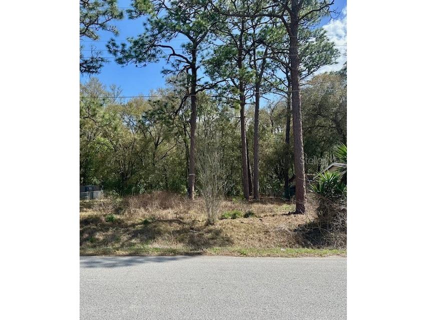 TBD Se 99th Terrace Belleview FL 34420 G5109245 image1