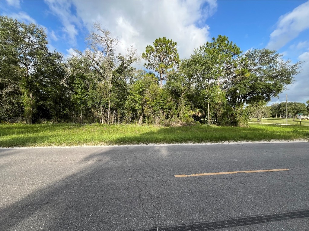 TBD SE County Road 337 Morriston FL 32668 A4662527 image1