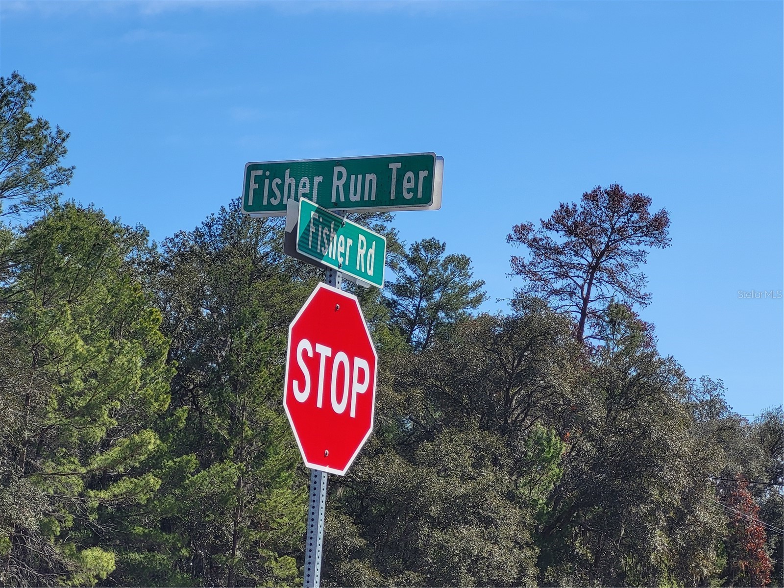 TBD Se Fisher Run Terrace #LOT 15 Ocala FL 34472 OM718266 image3