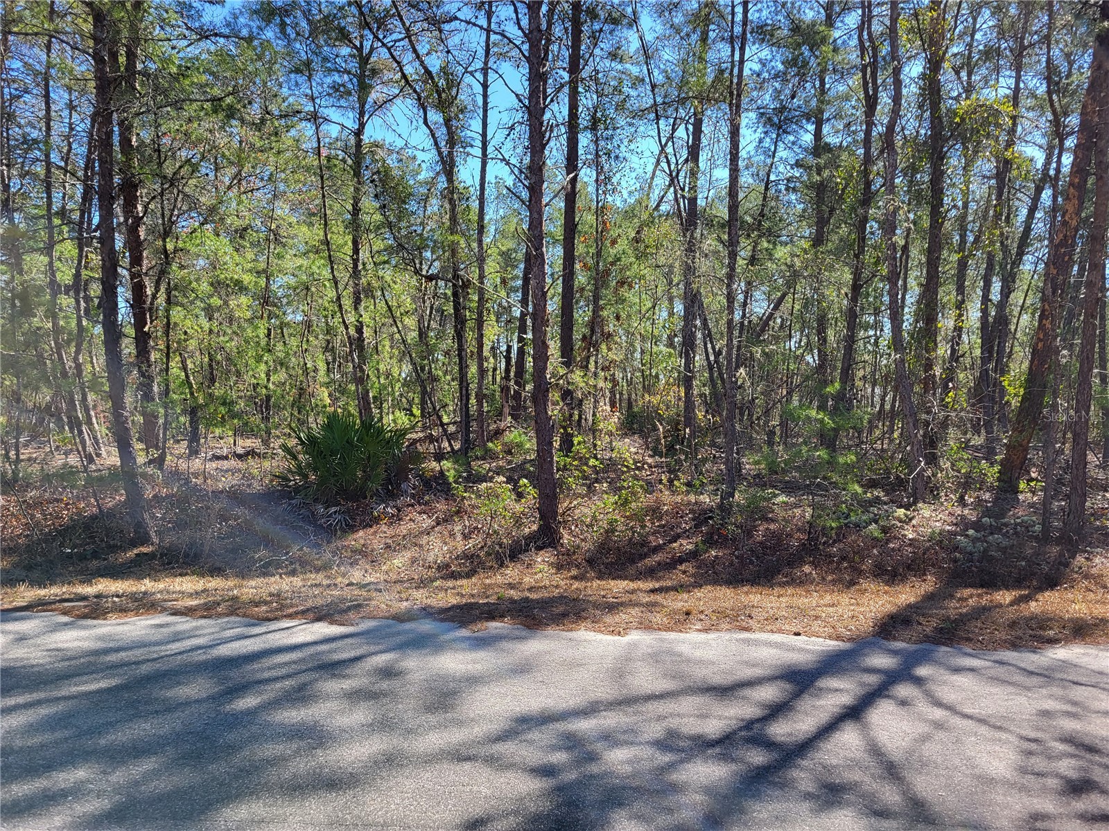TBD Se Fisher Run Terrace #LOT 15 Ocala FL 34472 OM718266 image4