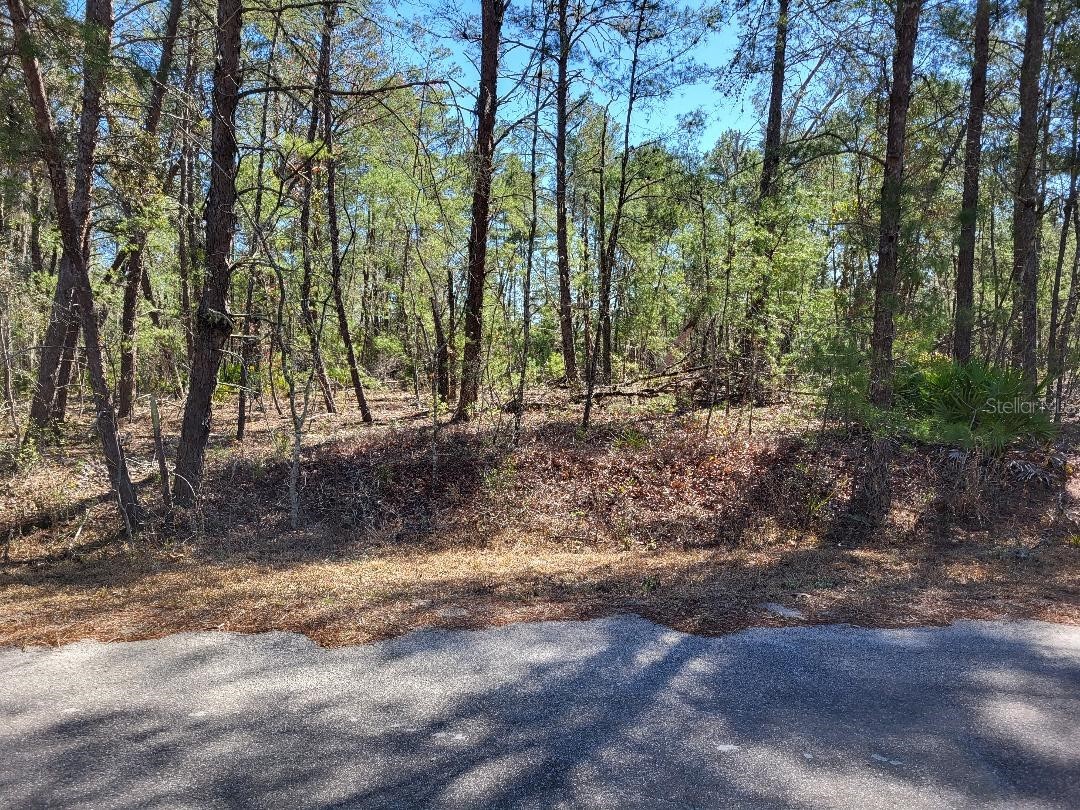 TBD Se Fisher Run Terrace #LOT 16 Ocala FL 34472 OM718268 image3