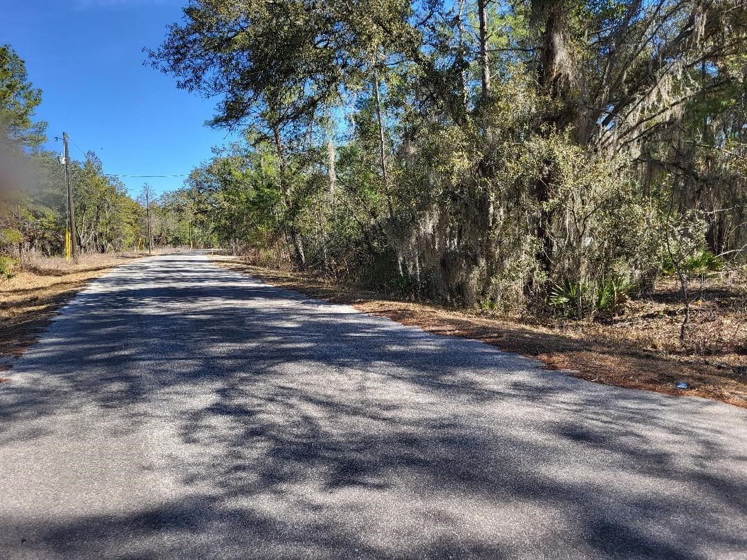 TBD Se Fisher Run Terrace #LOT 16 Ocala FL 34472 OM718268 image4