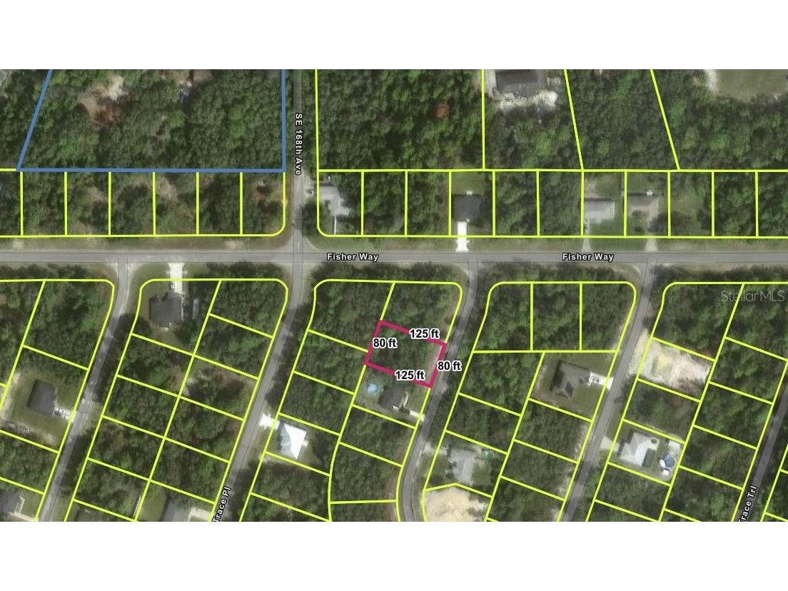 TBD Se Fisher Way Pl Ocklawaha FL 32179 O6395495 image1
