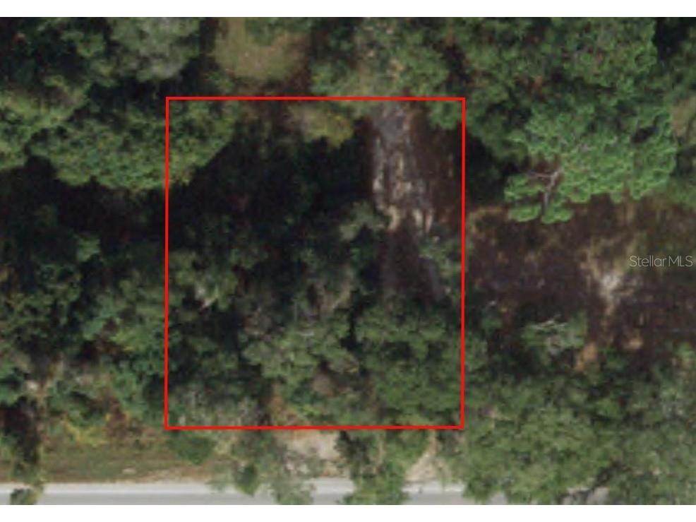 TBD SE Highway 42 Umatilla FL 32784 OM671798 image1