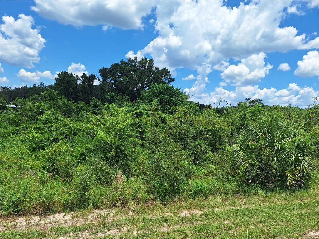 TBD SE Hwy. 19 Old Town FL 32680 GC532895 image3