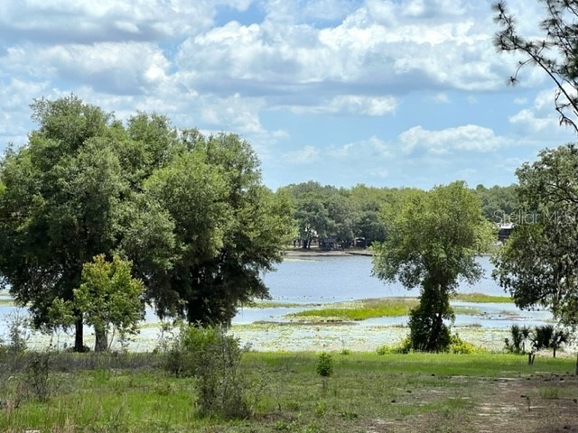 TBD SE Hwy 42 Weirsdale FL 32195 - TIGERHEAD LAKE OM657480 image1