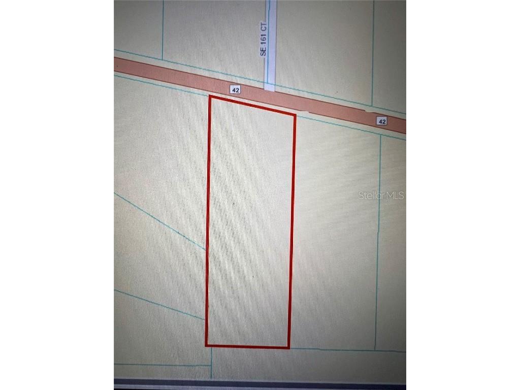 TBD SE Hwy 42 Weirsdale FL 32195 OM669217 image1
