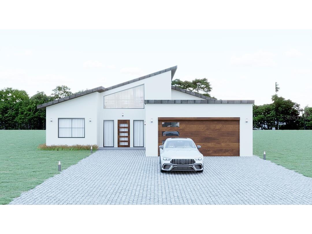 TBD SE Hwy 464 Ocklawaha FL 32179 OM720382 image1