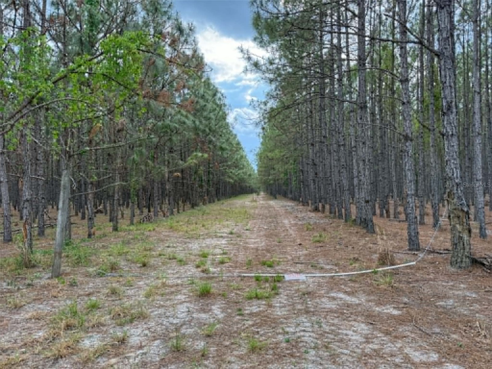 TBD SE Pearl Fletcher Road Branford FL 32008 GC540109 image1