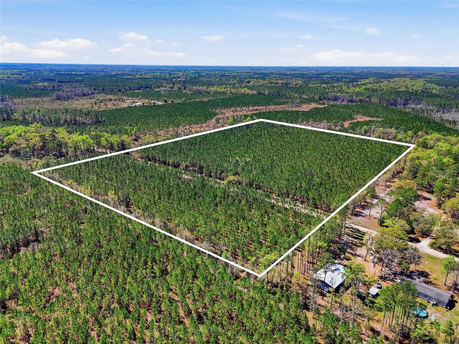 TBD SE Pounds Hammock Road Lake City FL 32025 GC538434 image1