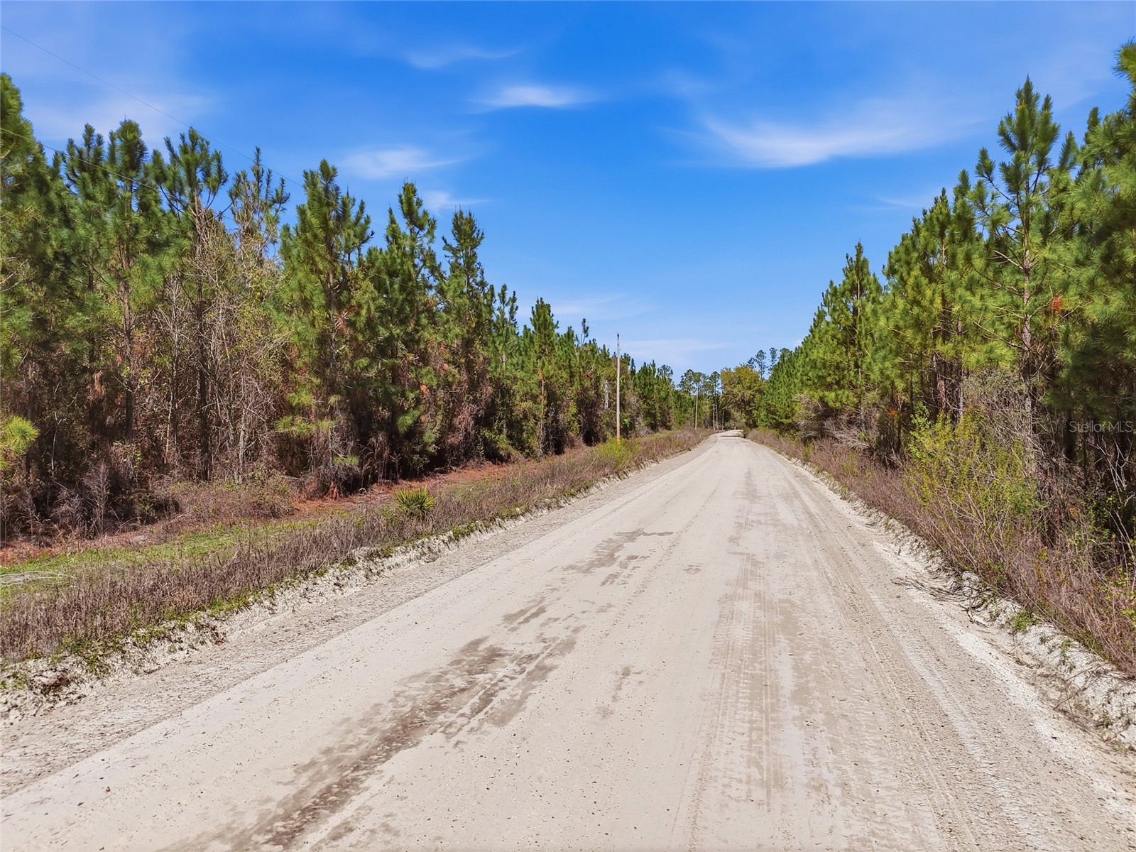 TBD SE Pounds Hammock Road Lake City FL 32025 GC538434 image10