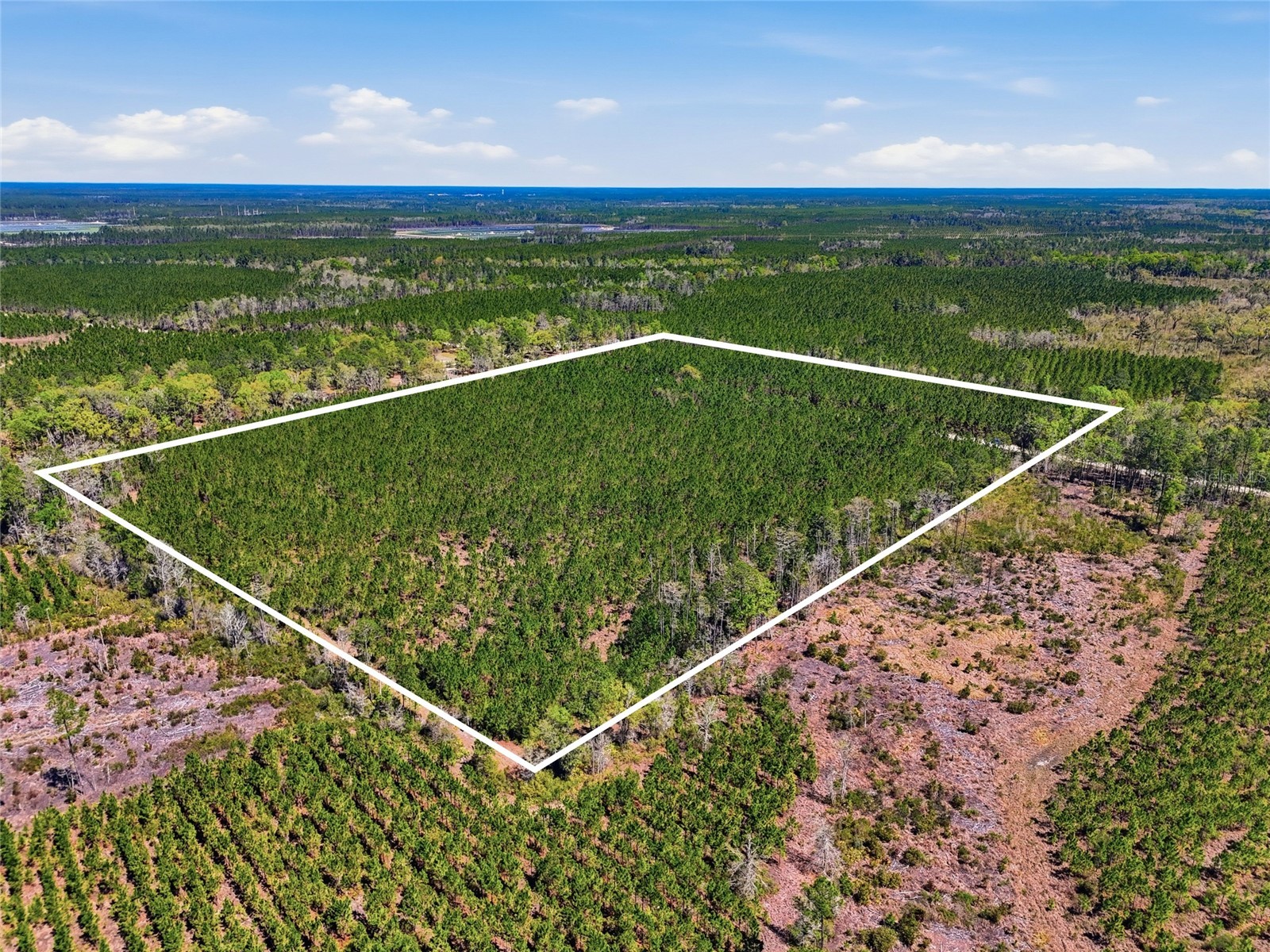 TBD SE Pounds Hammock Road Lake City FL 32025 GC538434 image3