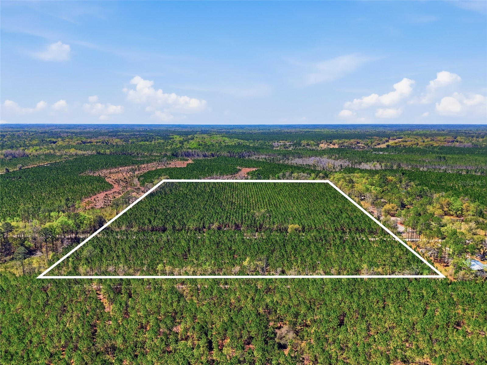 TBD SE Pounds Hammock Road Lake City FL 32025 GC538434 image6