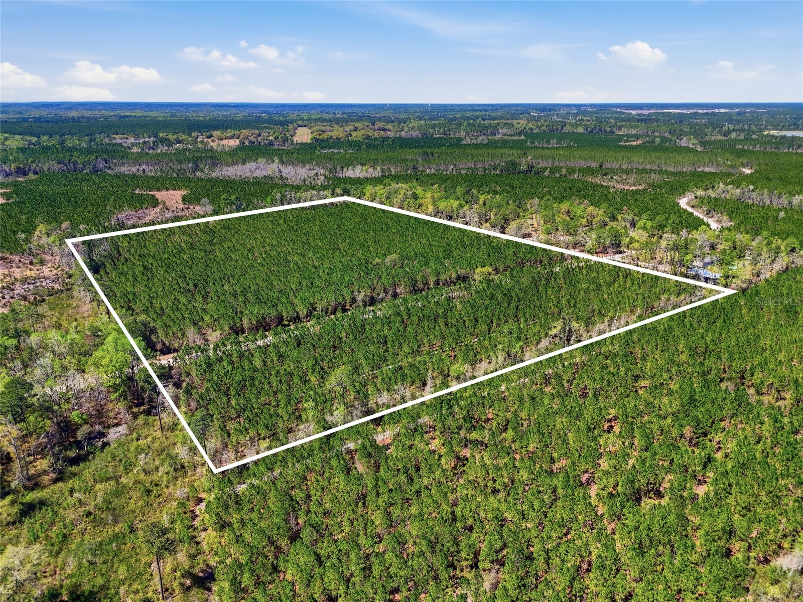 TBD SE Pounds Hammock Road Lake City FL 32025 GC538434 image7