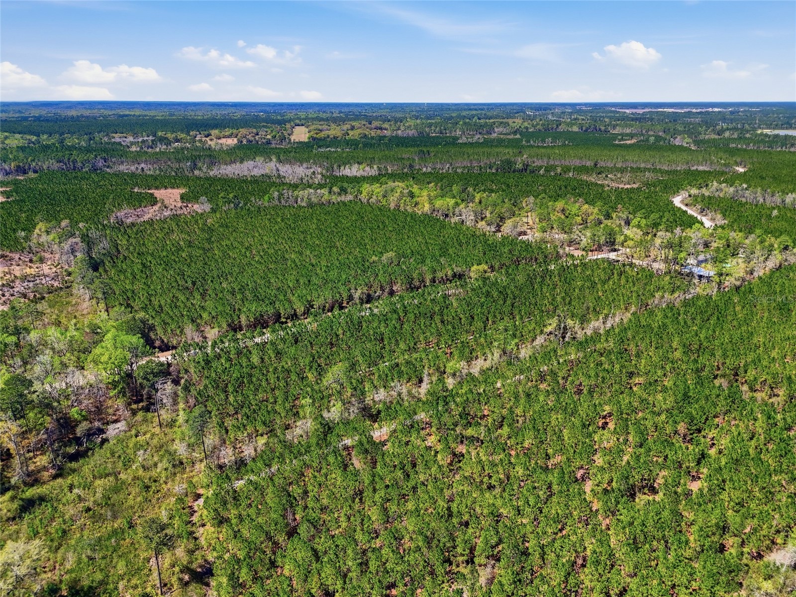 TBD SE Pounds Hammock Road Lake City FL 32025 GC538434 image8