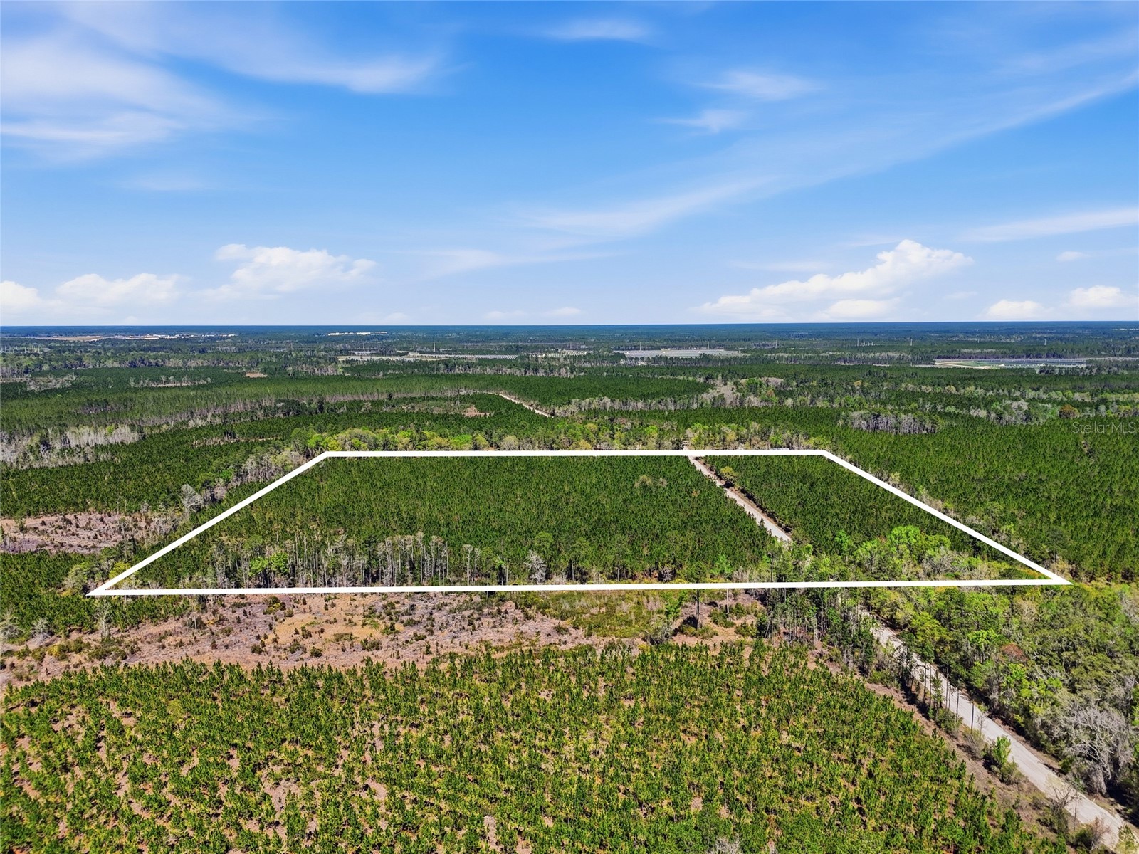 TBD SE Pounds Hammock Road Lake City FL 32025 GC538434 image9