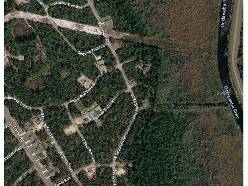 TBD SE Sequoia Loop Ocklawaha FL 32179 OM726283 image1