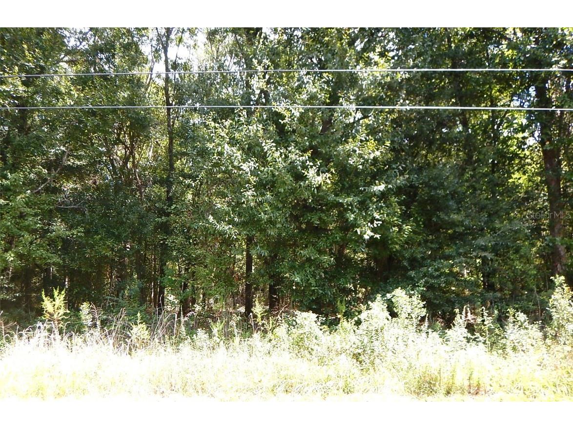 TBD SE State Road 100 Starke FL 32091 GC525014 image1