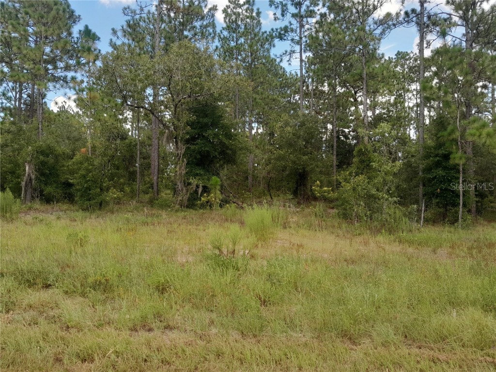 TBD SE State Road 121 Morriston FL 32668 OM707394 image2