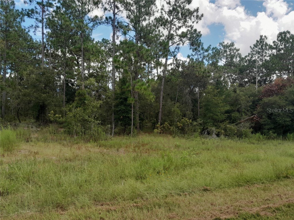 TBD SE State Road 121 Morriston FL 32668 OM707394 image3