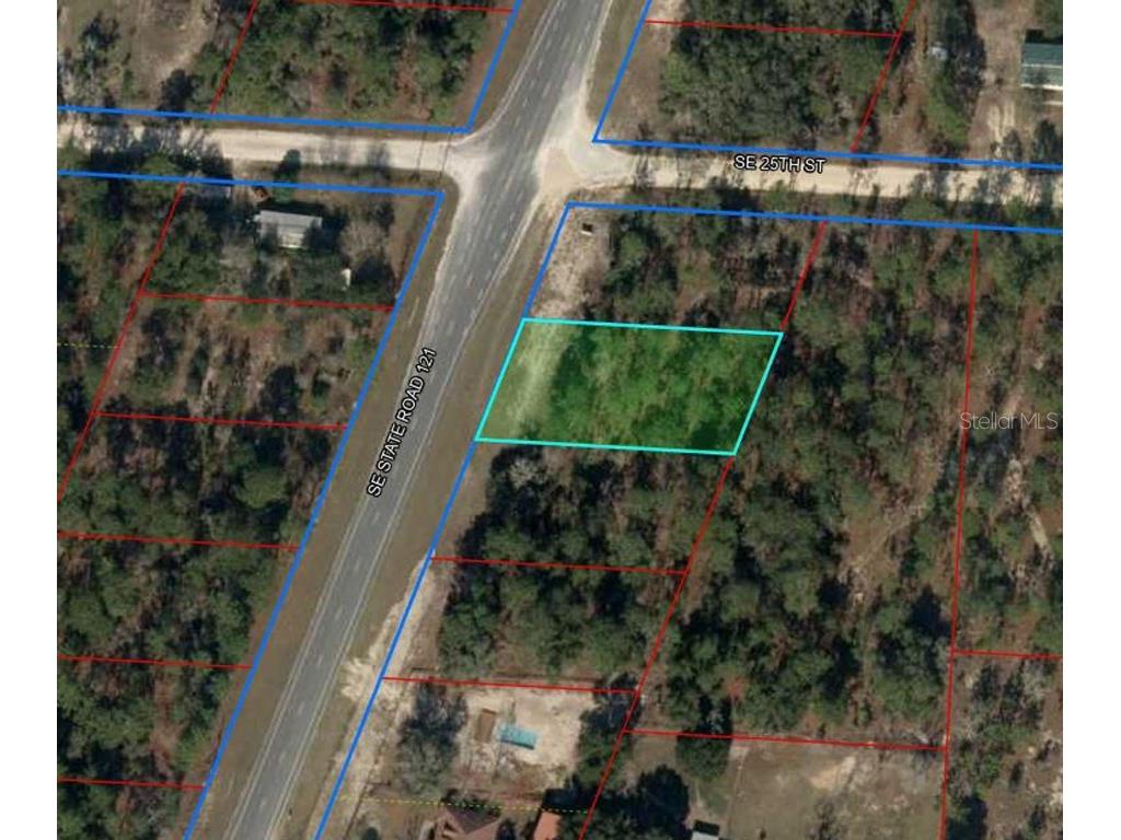 TBD SE State Road 121 Morriston FL 32668 OM707394 image5