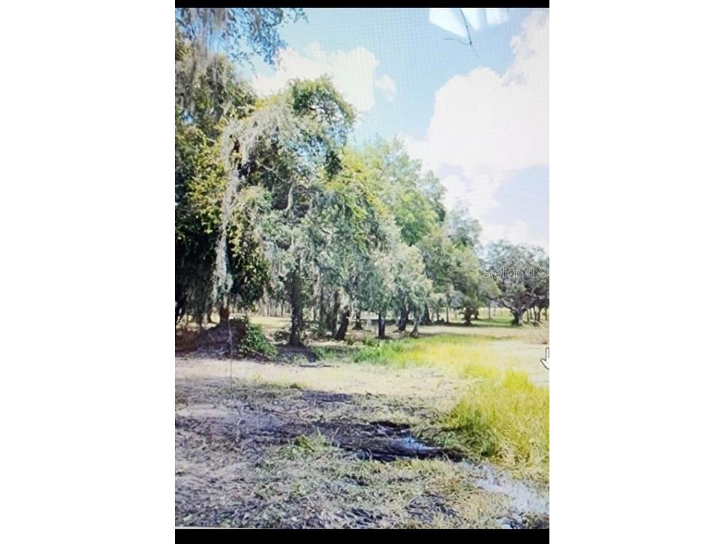 TBD SE State Road Weirsdale FL 32195 - TIGERHEAD LAKE OM670555 image1