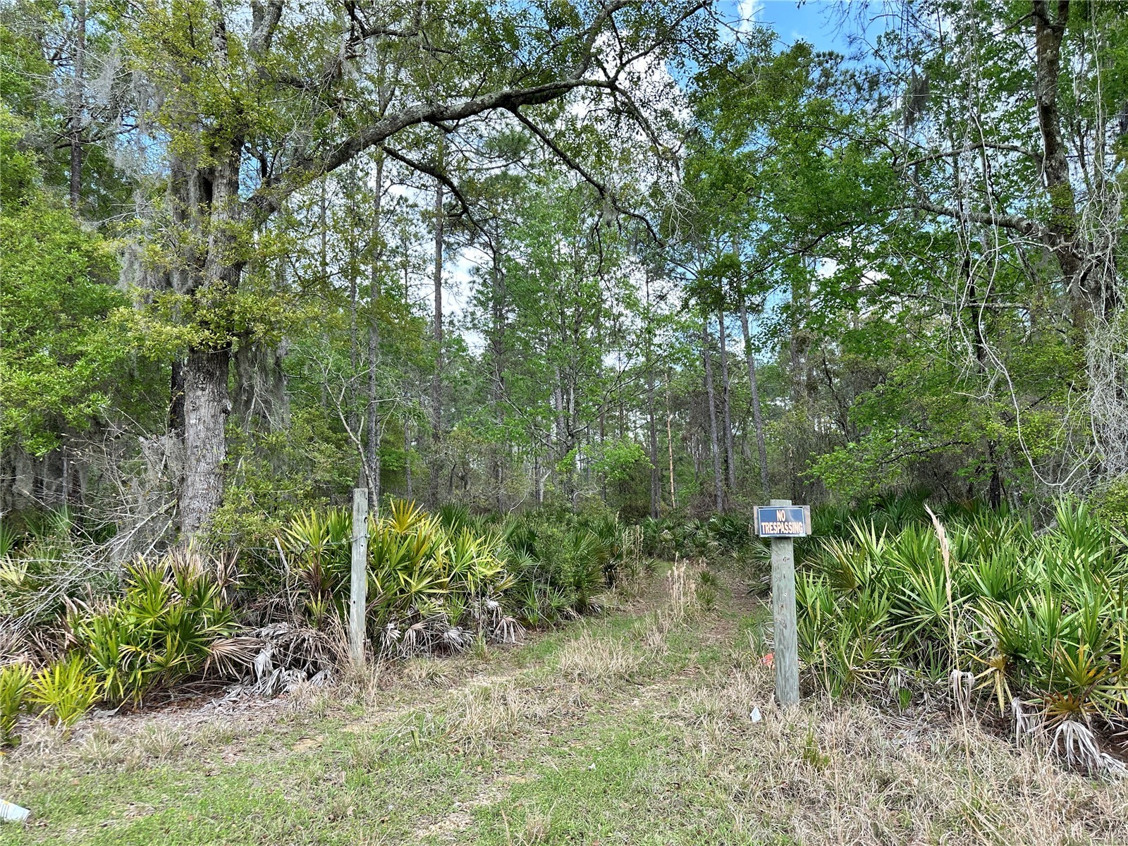 TBD SE Us Highway 19 Inglis FL 34449 OM718822 image1