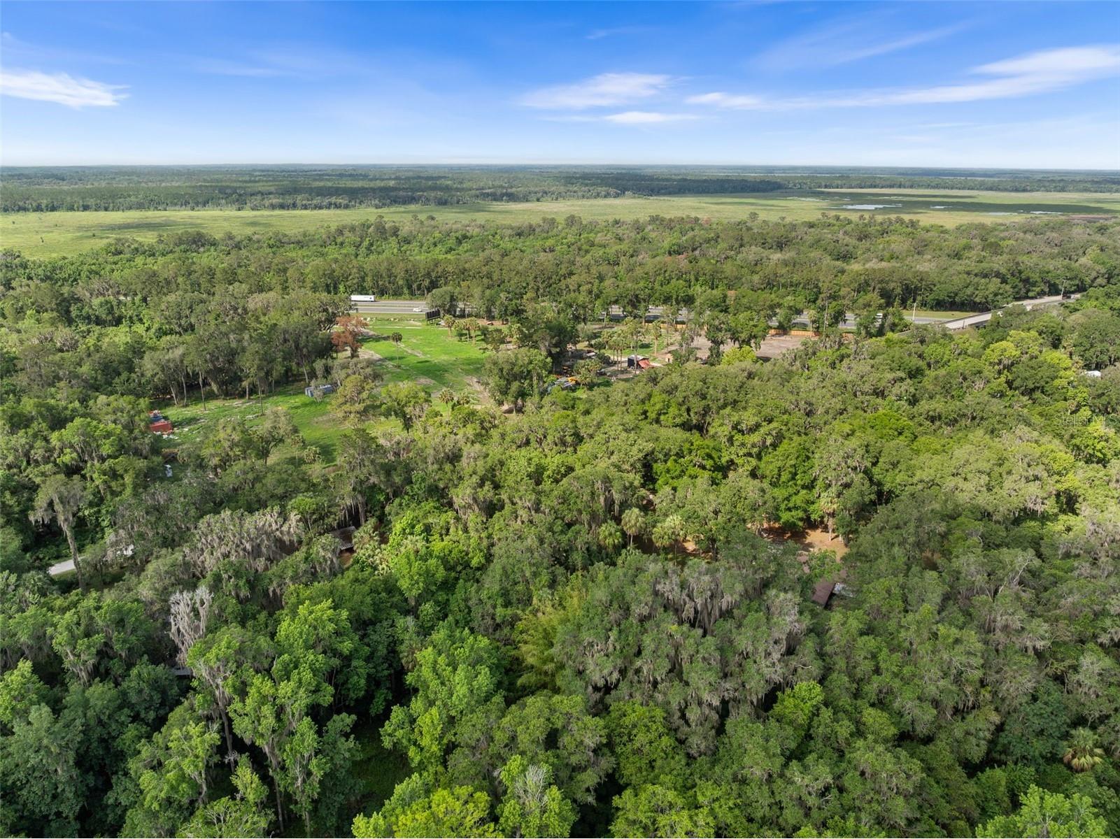 TBD Se Wacahoota Road Micanopy FL 32667 GC540655 image10