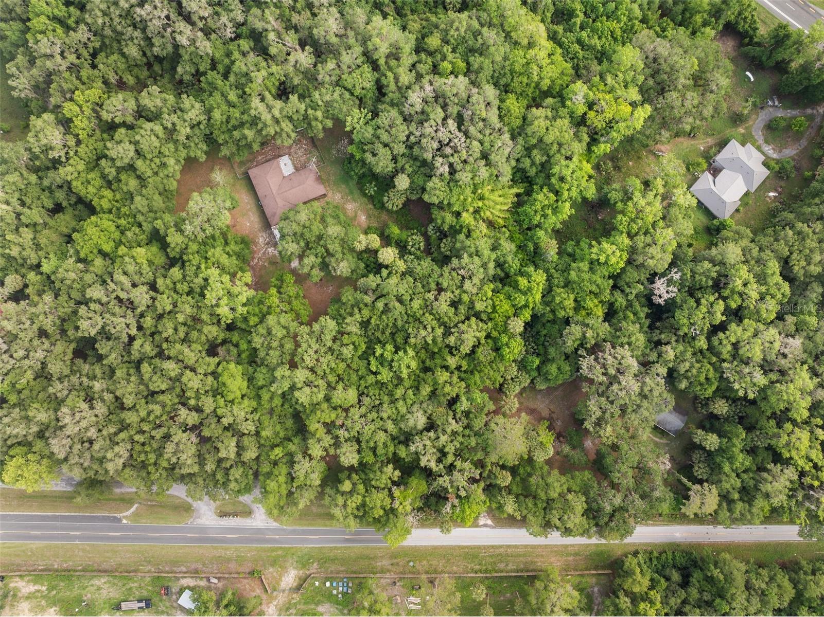 TBD Se Wacahoota Road Micanopy FL 32667 GC540655 image11