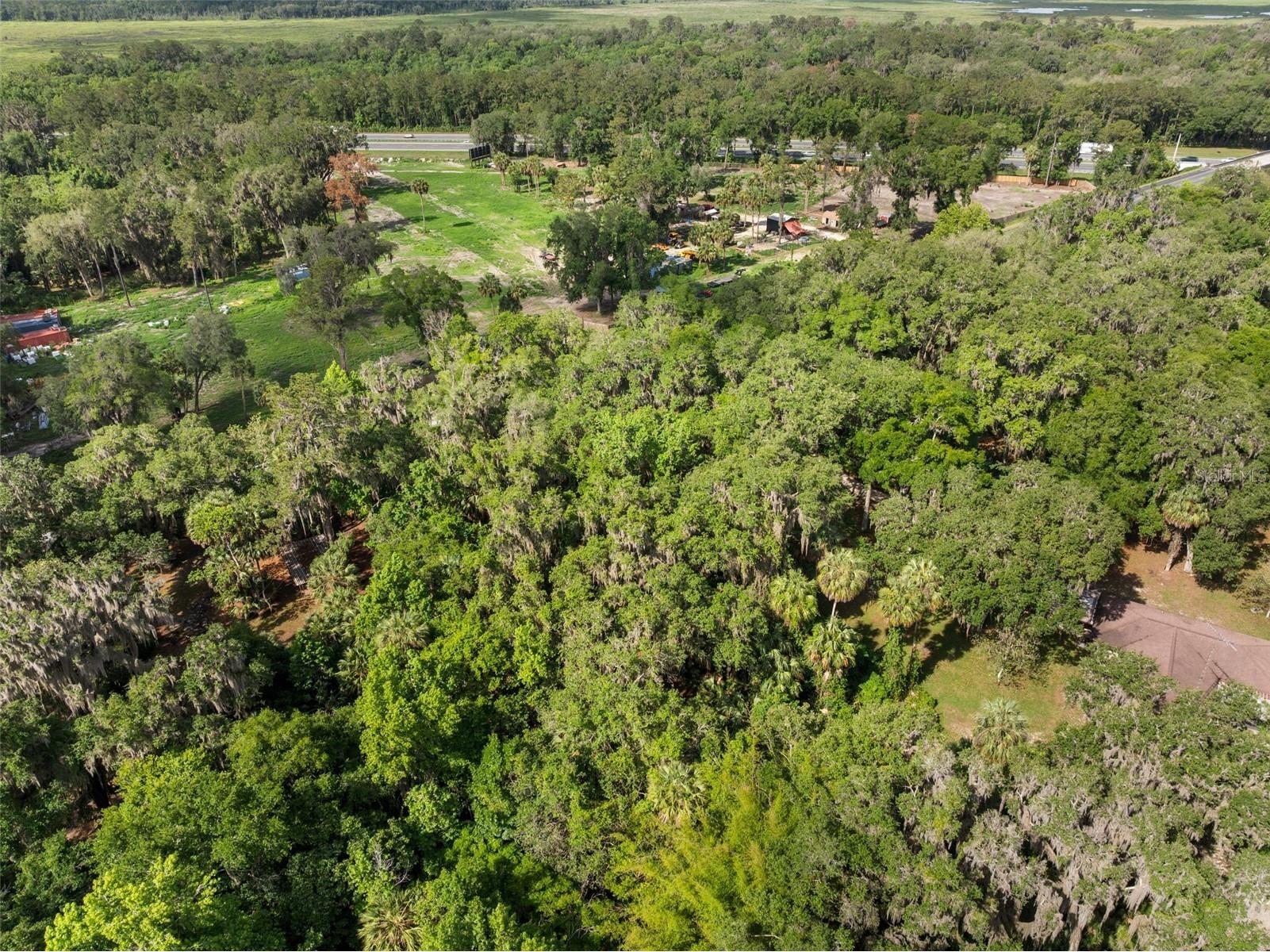 TBD Se Wacahoota Road Micanopy FL 32667 GC540655 image13