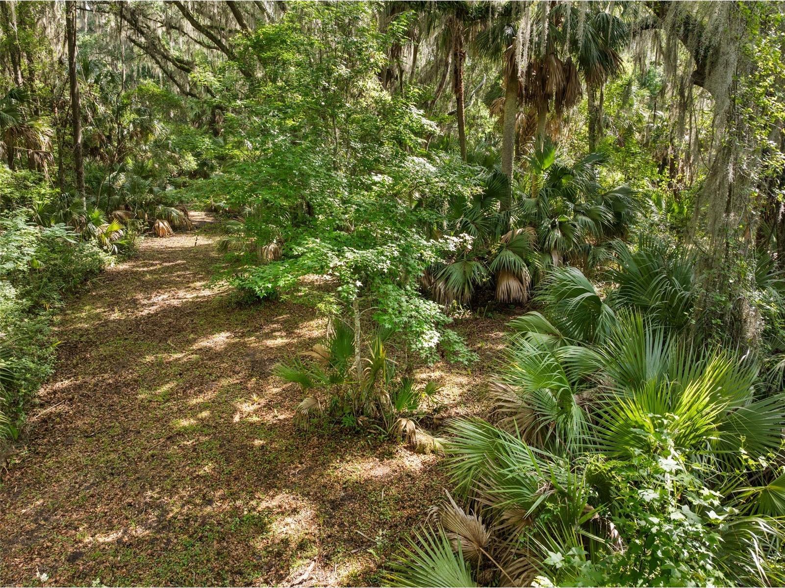 TBD Se Wacahoota Road Micanopy FL 32667 GC540655 image2