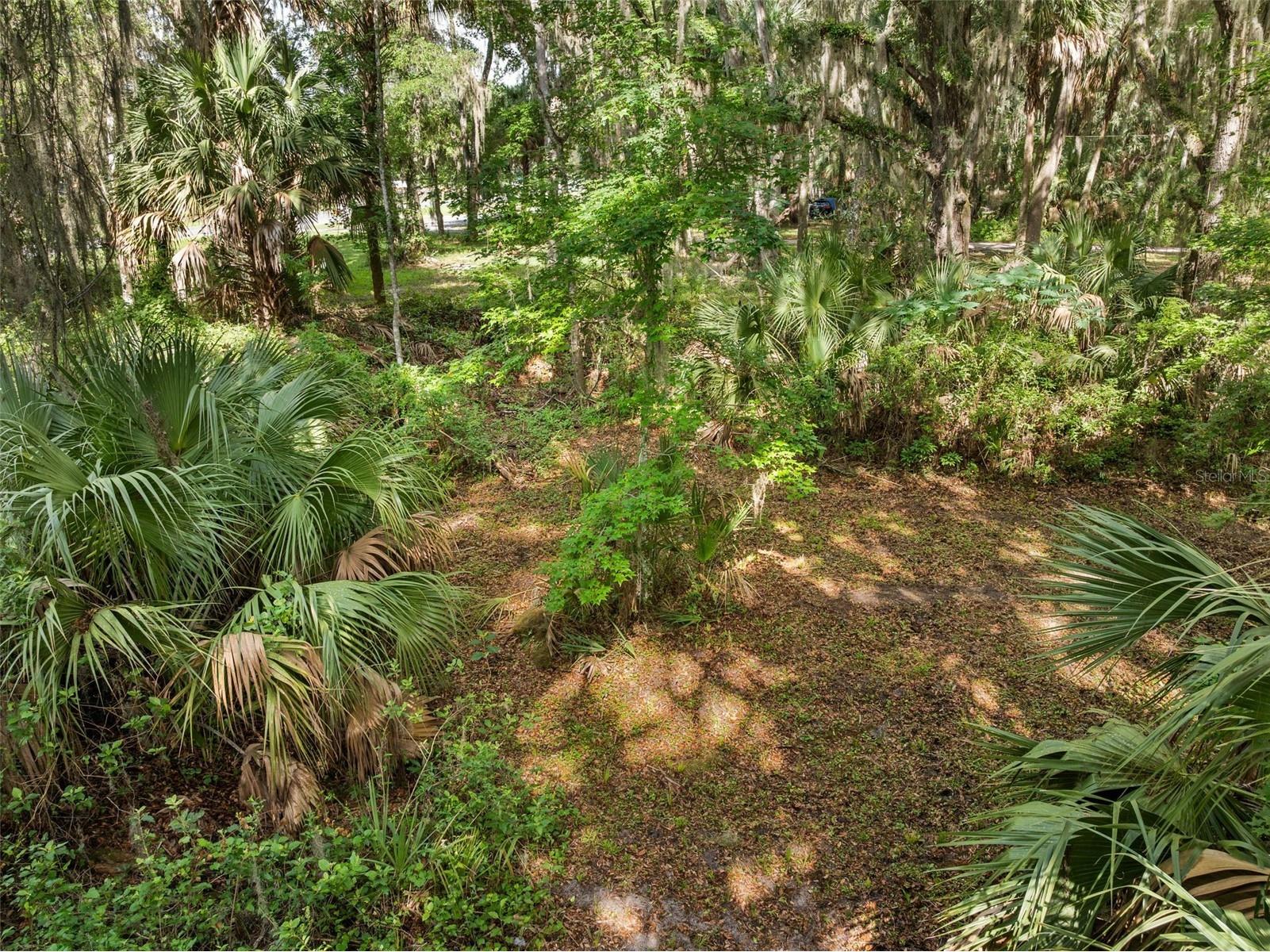 TBD Se Wacahoota Road Micanopy FL 32667 GC540655 image3