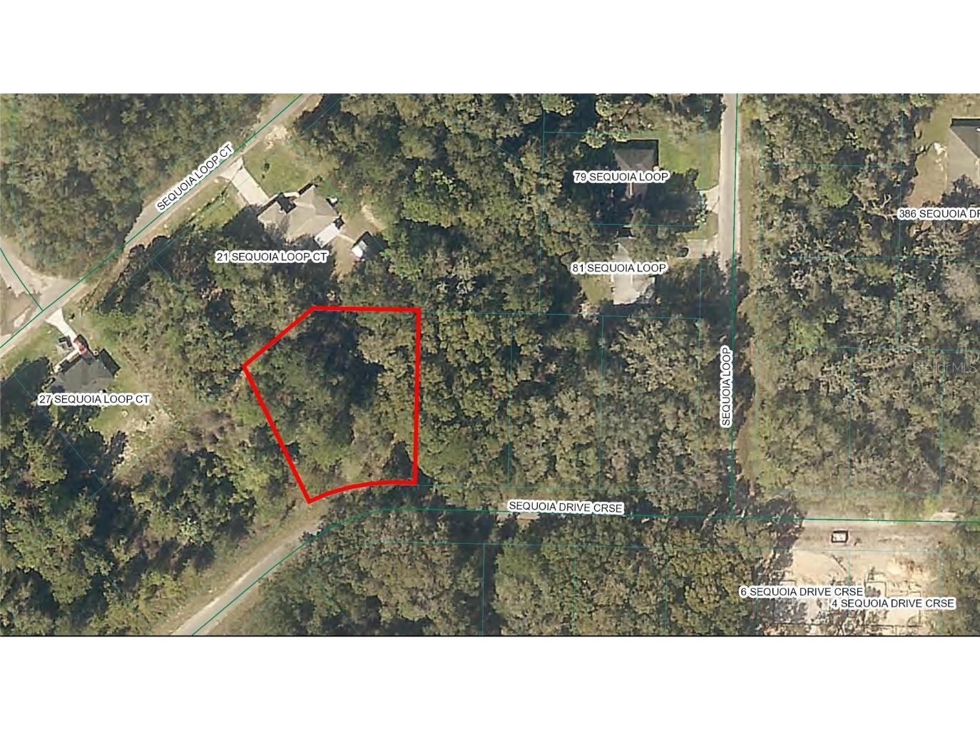 TBD Sequoia Drive Course Ocklawaha FL 32179 OM684776 image1