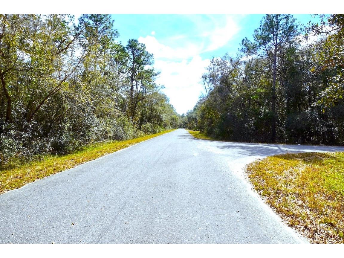 TBD Sequoia Drive Court Ocklawaha FL 32179 OM665315 image1